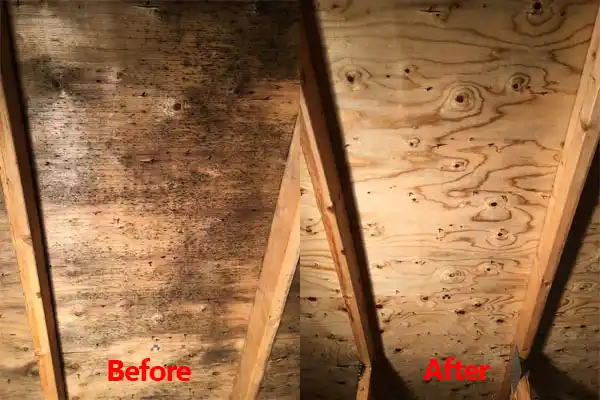 water damage restoration service Cankton